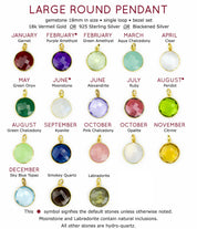 Personalized Round Birthstone Necklace Initial Charm