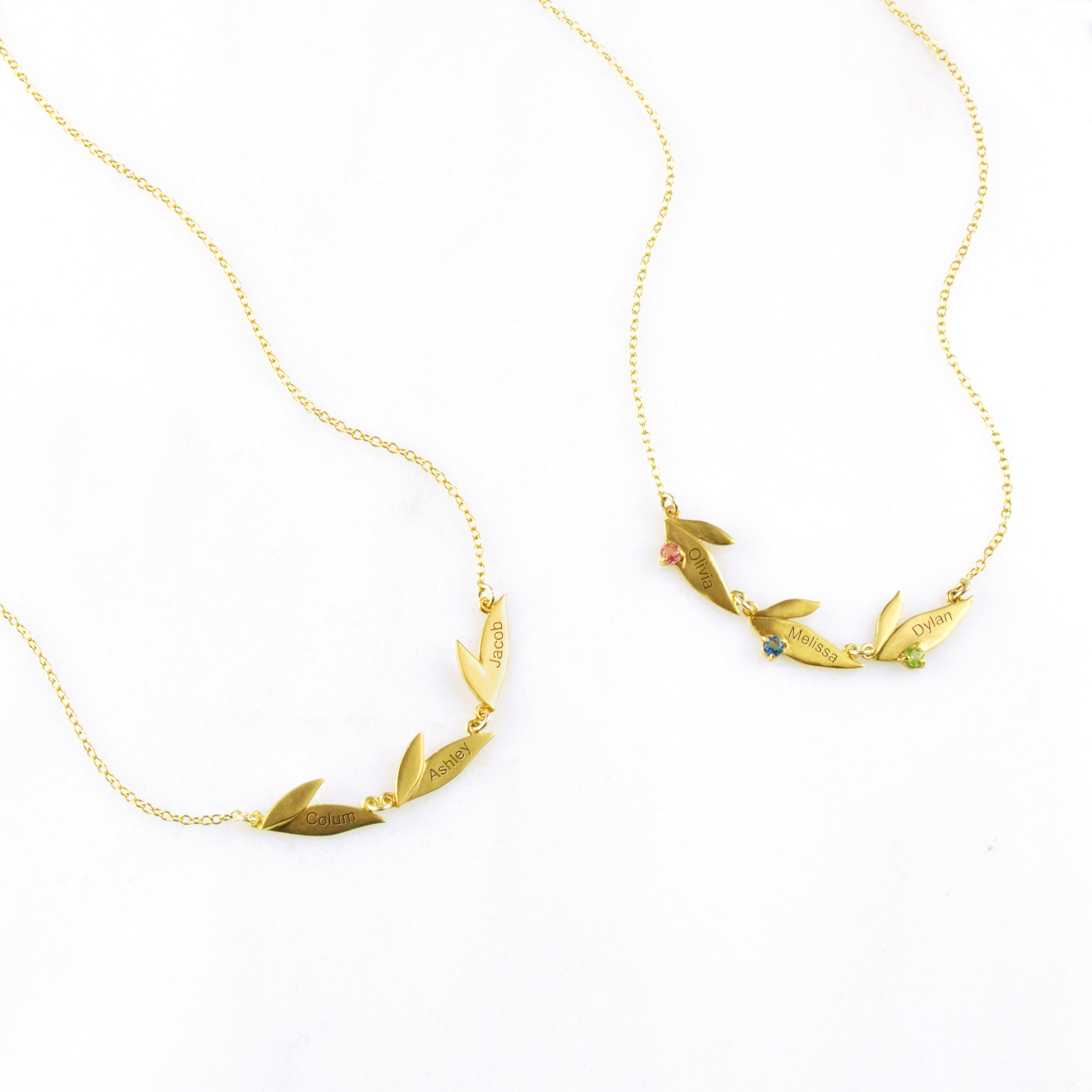 Personalized Family Necklace with Custom Names & Birthstones