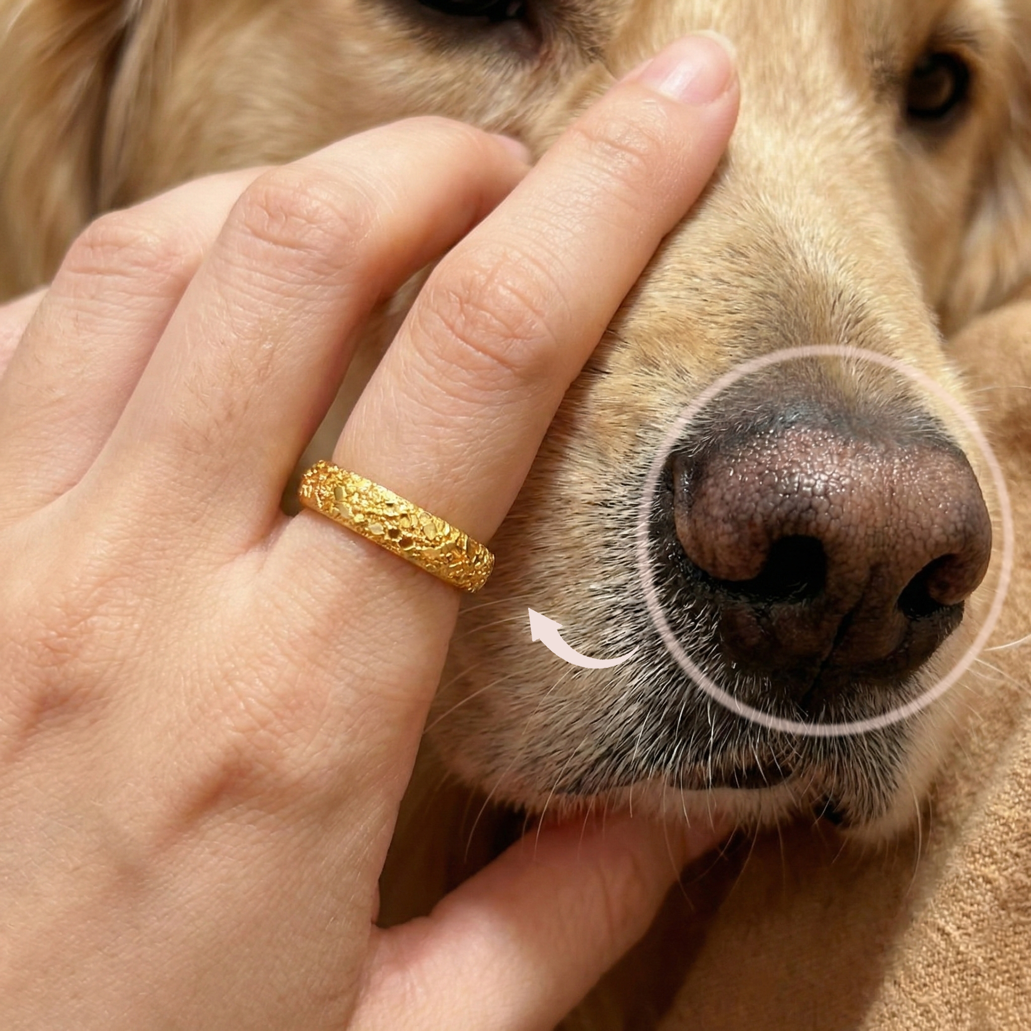 Personalized pet nose print ring worn on a hand while gently holding a dog’s muzzle, showing a shiny comfort fit band with real noseprint texture engraving created from a submitted photo, a sentimental dog mom ring and pet memorial jewelry piece for honoring a best friend, perfect as a pet loss gift, birthday gift, or remembrance keepsake, available in sterling silver and gold vermeil styles with optional inside text.
