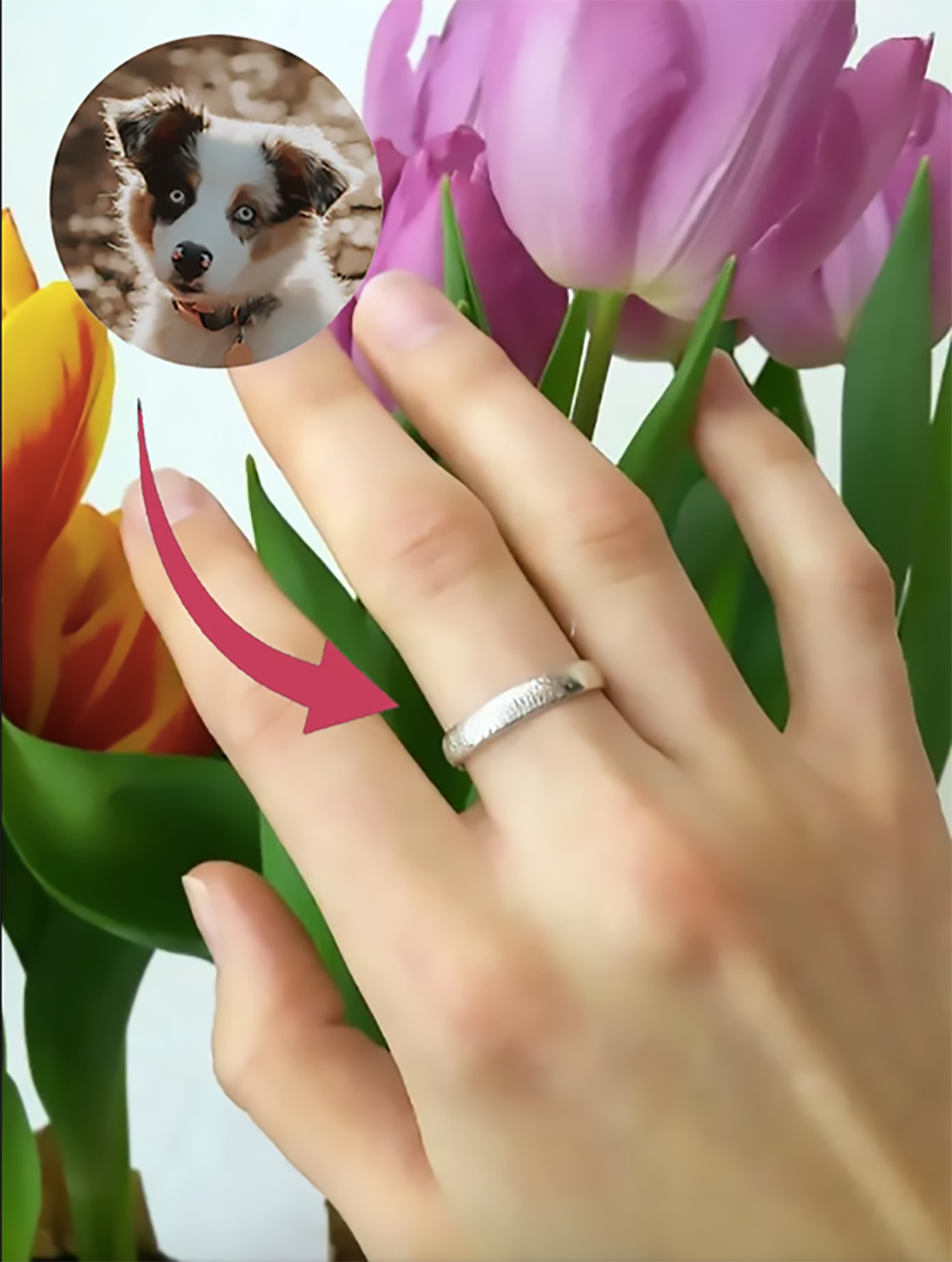 Dog nose jewelry sales