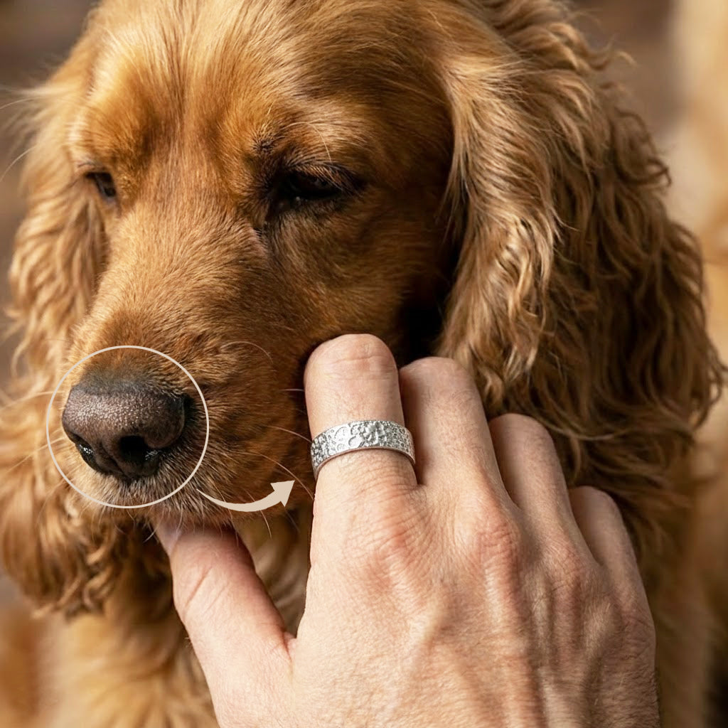 Dog nose engraved ring shown on a hand while gently touching a brown dog, highlighting realistic pebble-style dog nose texture engraving, custom pet nose print ring in sterling silver, meaningful personalized pet jewelry keepsake, memorial dog ring, gift for dog lovers, handmade engraved ring inspired by a real dog’s nose