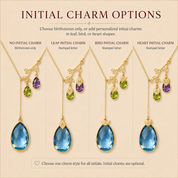 Initial charm options showing birthstones alone or personalized leaf, bird and heart stamped-letter charms.