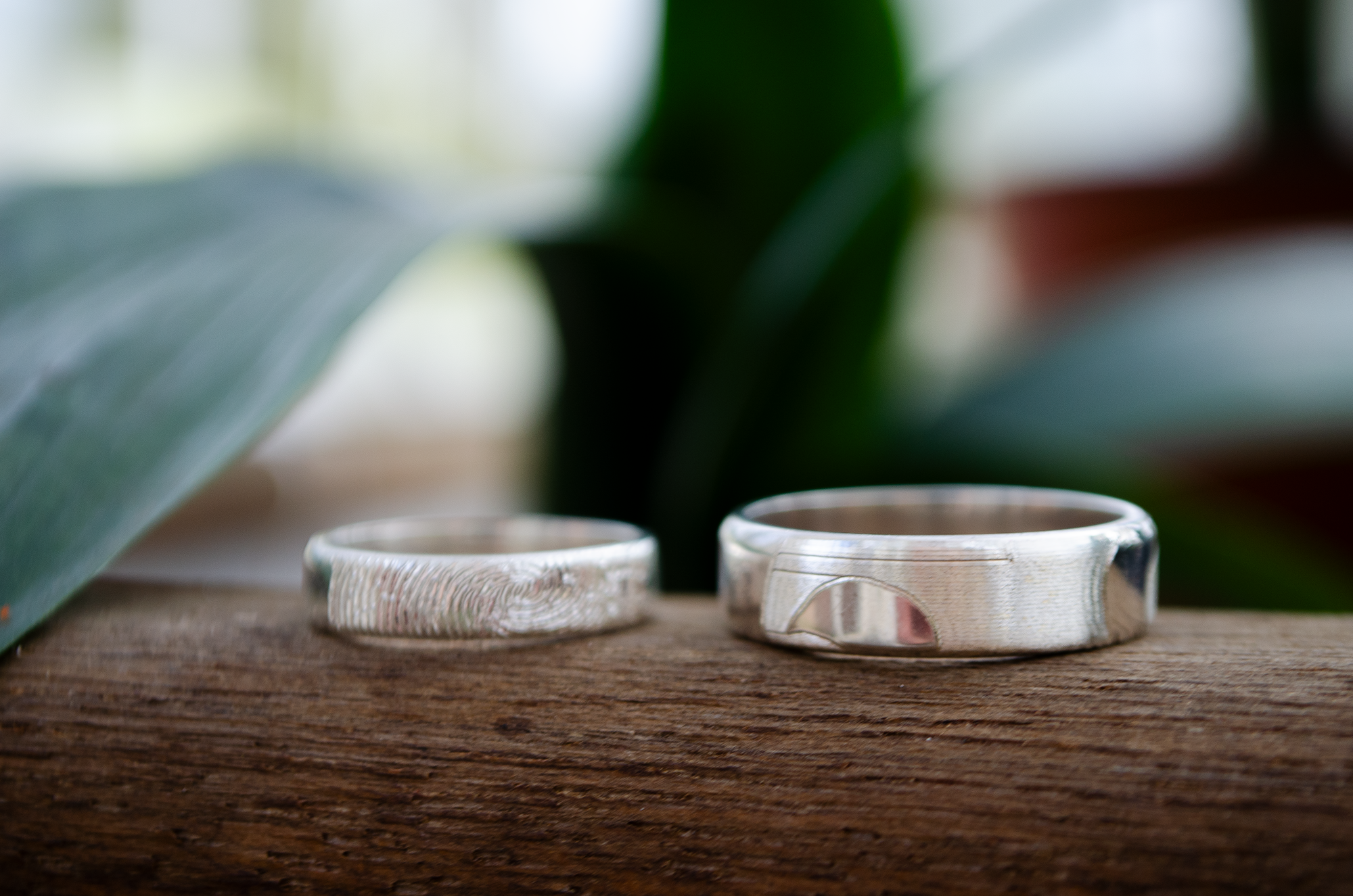 2 dog nose print rings on a log. Dog nose print ring, custom pet jewelry, personalized dog ring, sterling silver, vermeil gold, rose gold, pet memorial ring, engraved pet keepsake, dog lover gift, unique pet ring, dog nose jewelry, custom engraved ring, pet portrait jewelry, dog owner gift