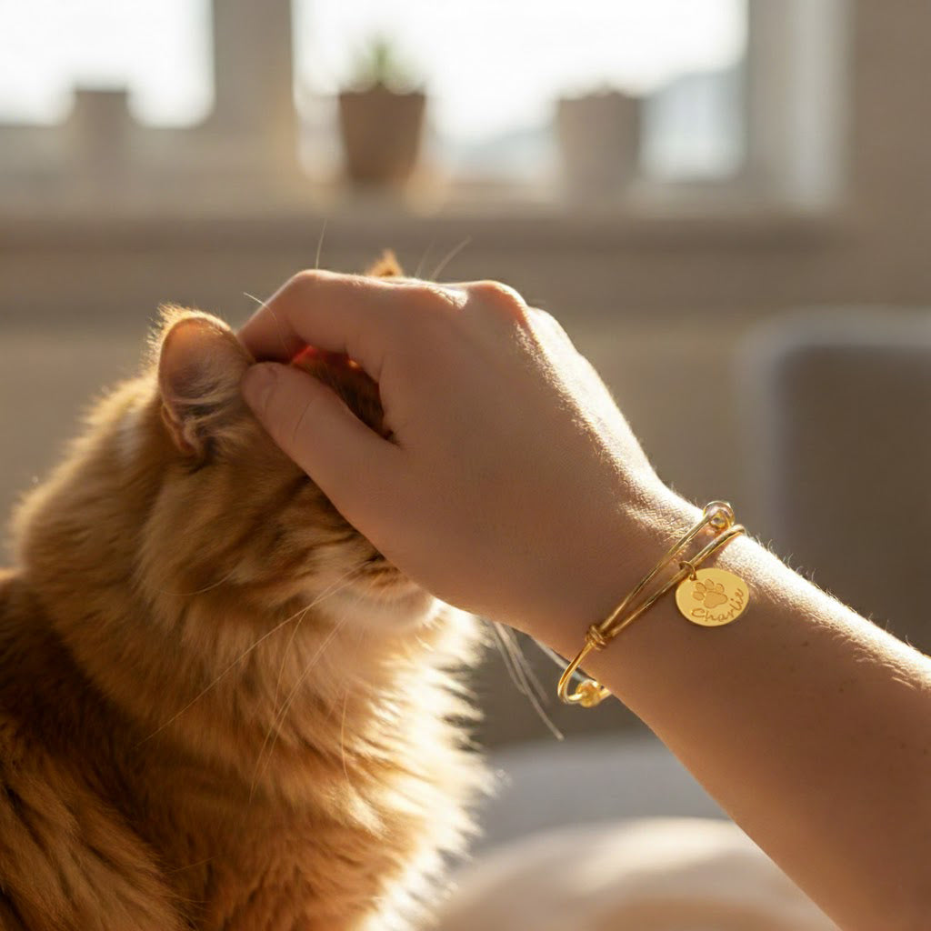 Golden custom pet bangle bracelet on a woman’s wrist as she gently pets her fluffy orange cat, featuring a round disc charm engraved with a paw print and the pet name “Charlie.” Dainty adjustable wire bangle in 14k gold filled finish creates a sentimental, everyday accessory for dog moms and cat moms, perfect as a personalized pet lover gift, pet memorial bracelet, or birthday and Christmas jewelry for women who adore their animals.