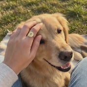 Custom engraved pet name ring featuring paw print design, minimalist memorial band for dog mom or cat mom keepsake