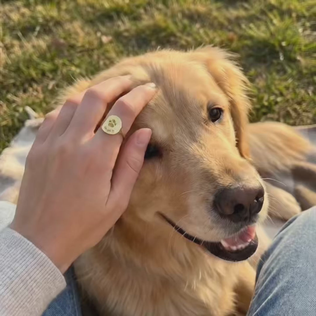 Custom engraved pet name ring featuring paw print design, minimalist memorial band for dog mom or cat mom keepsake