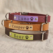 A video showcasing Personalized leather dog collars stacked in turquoise, raspberry, espresso, and honey color combinations