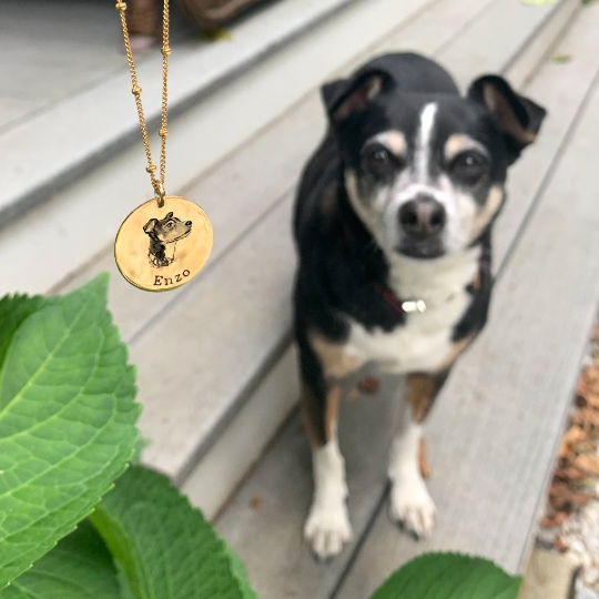 Our custom engraved dog necklace is hanging on a gold filled satellite chain also pictured is the dog inspiration of this necklace