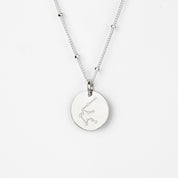 Single silver satellite aquarius zodiac constellation symbol shown