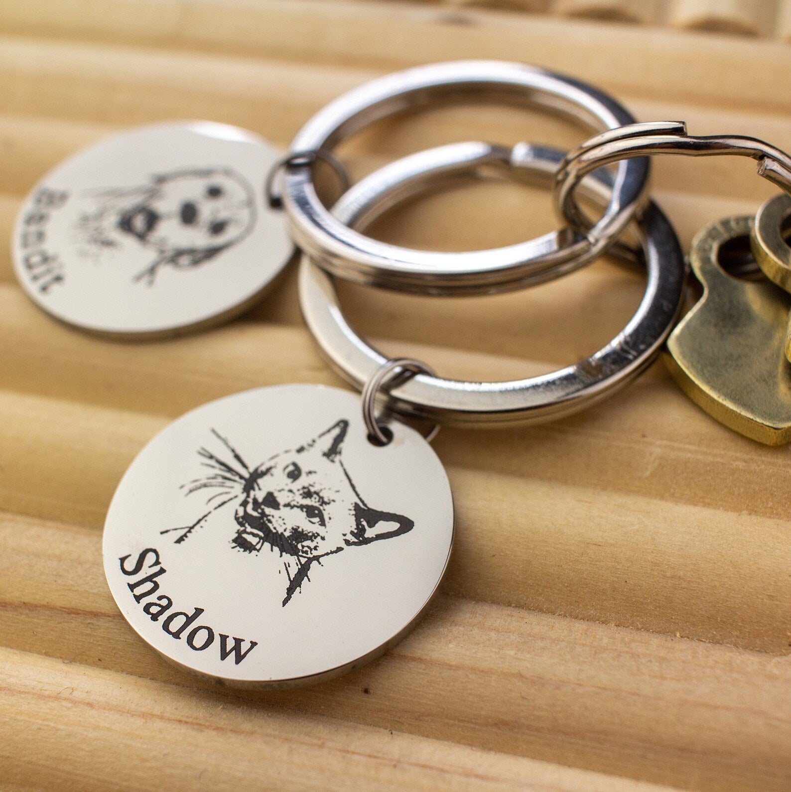 keys attached to two silver toned circle keychain with cat image and name engraved in classic font and a dog with typewriter font. 