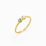 Single gold filled dual birthstone ring with kyanite and moonstone gemstones on white background.