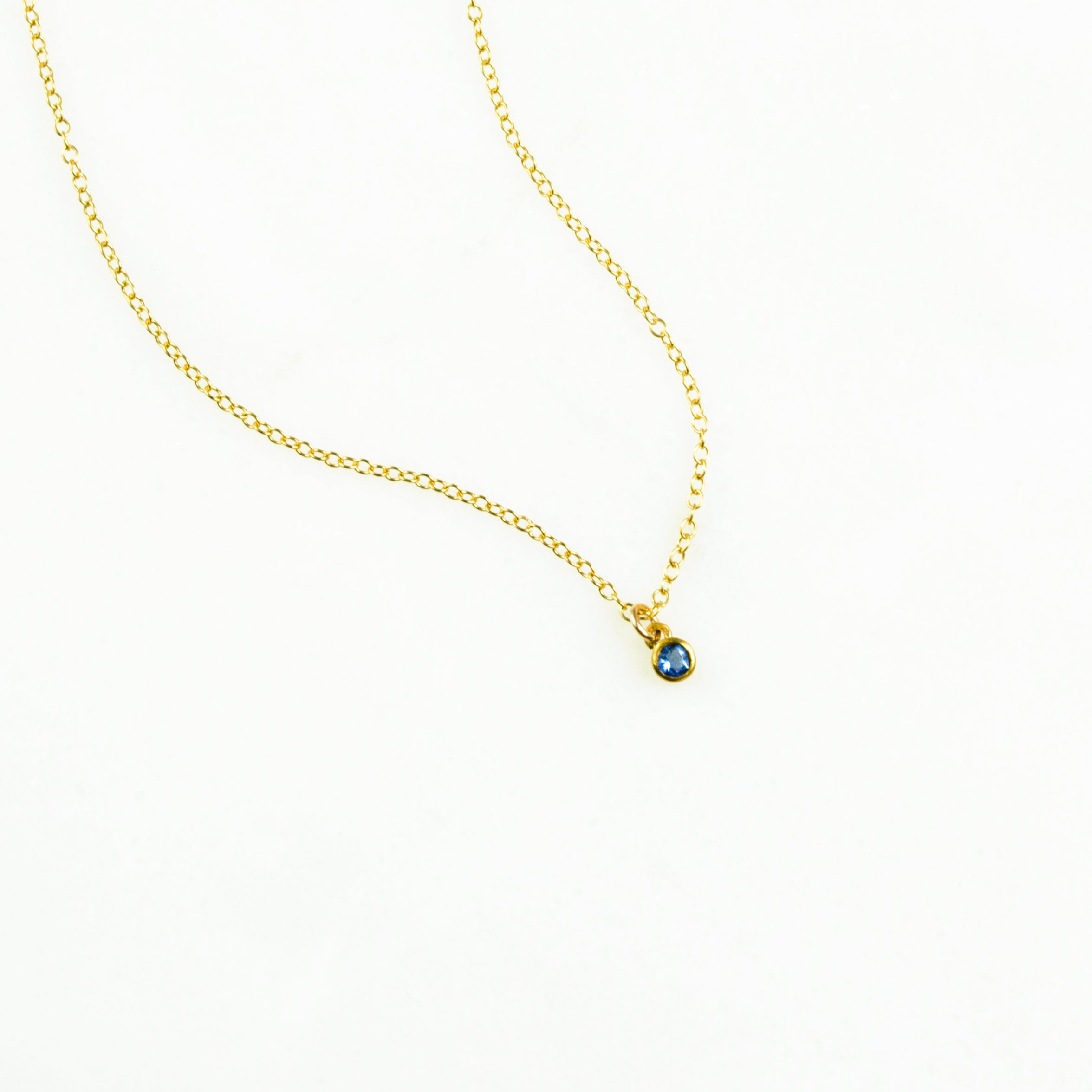 Small Birthstone Shaker Necklace